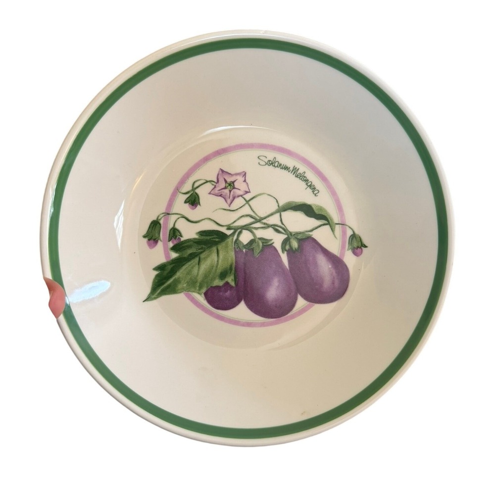 HIMARK New! 8.4"‎ Pasta Bowl Made In Italy Eggplant(Solanum Melongena)